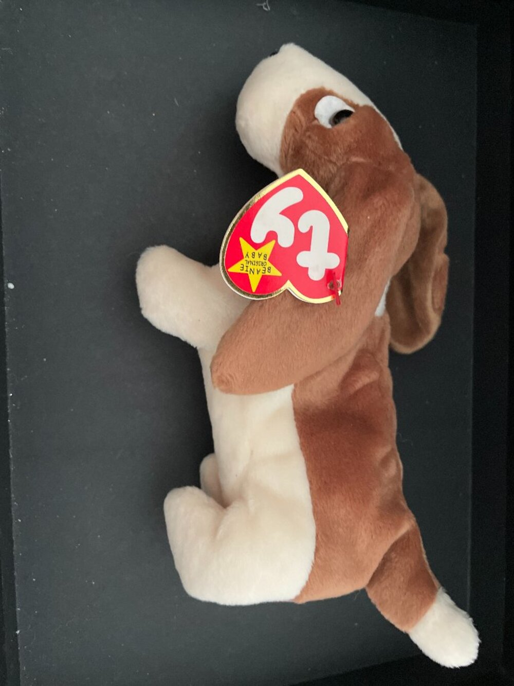 Tracker the Basset Hound, a retired Ty Beanie Baby plush toy NWT